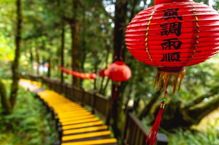 Two-Day Taipingshan Forest Tour | Bounce Cars, Quiet Trails, and Stay at Taipingshan Villa