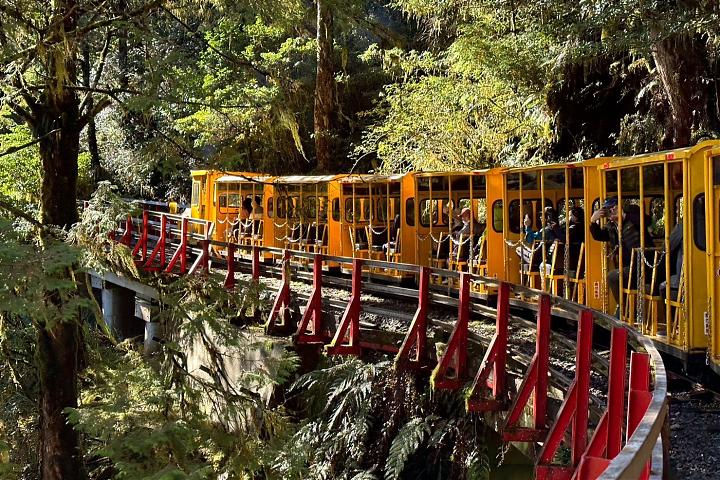 Two-Day Taipingshan Forest Tour | Bounce Cars, Quiet Trails, and Stay at Taipingshan Villa