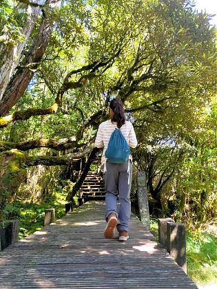 Two-Day Taipingshan Forest Tour | Bounce Cars, Quiet Trails, and Stay at Taipingshan Villa