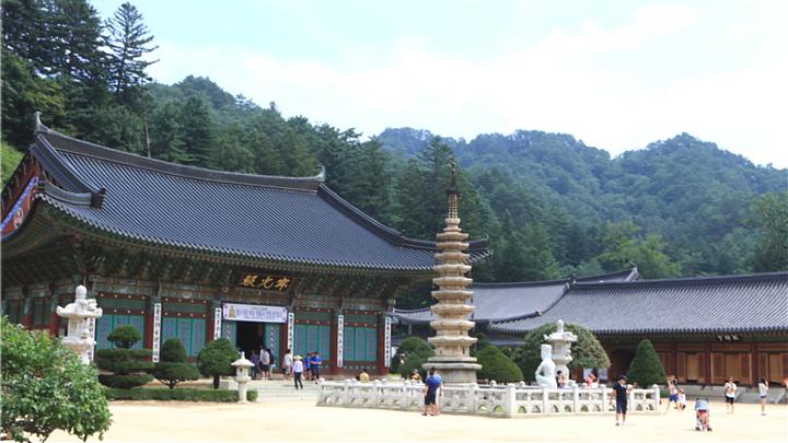 Four Seasons Gangneung, Gyeongpodae, Light and Shadow Experience, and Skybike 2-Day Tour (Stay at Ojuk Hanok Village/Chinese Service)