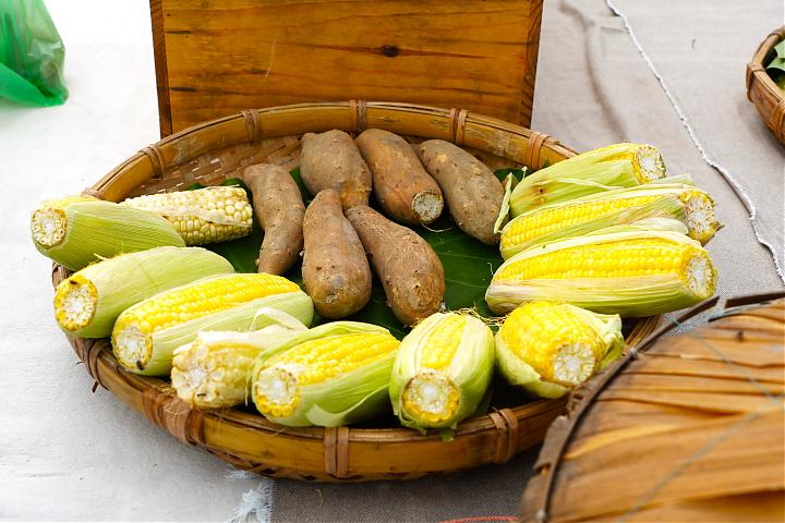 Yilan Earth Kiln Experience | Family Picnic and Slow Living. Cooking Prototype Foods