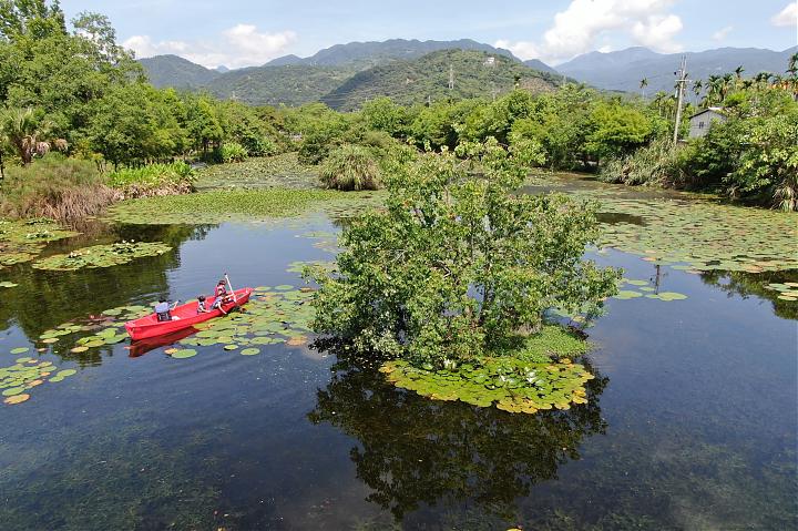 Turning Aquatic Plants into Dishes: Gather and Cook Them Yourself | Edible Ecology Lesson