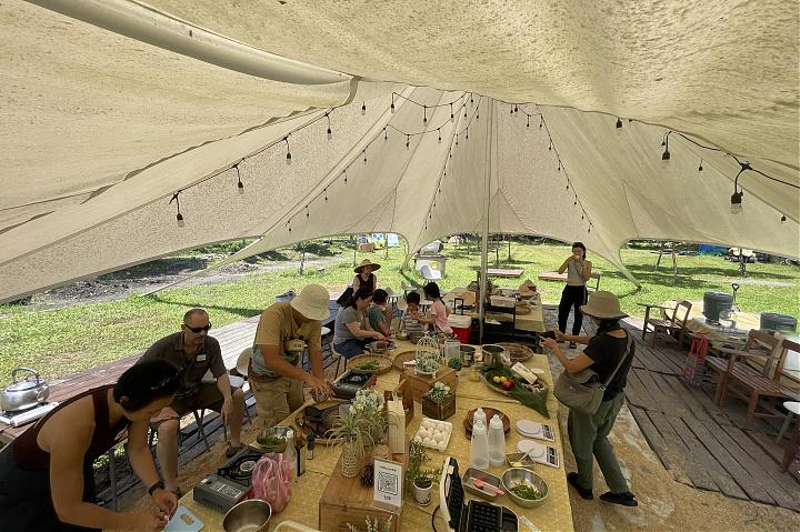 Turning Aquatic Plants into Dishes: Gather and Cook Them Yourself | Edible Ecology Lesson