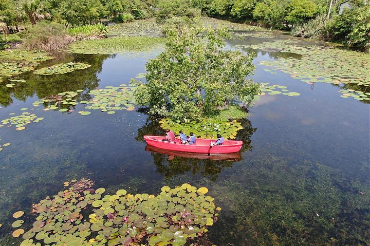 Turning Aquatic Plants into Dishes: Gather and Cook Them Yourself | Edible Ecology Lesson