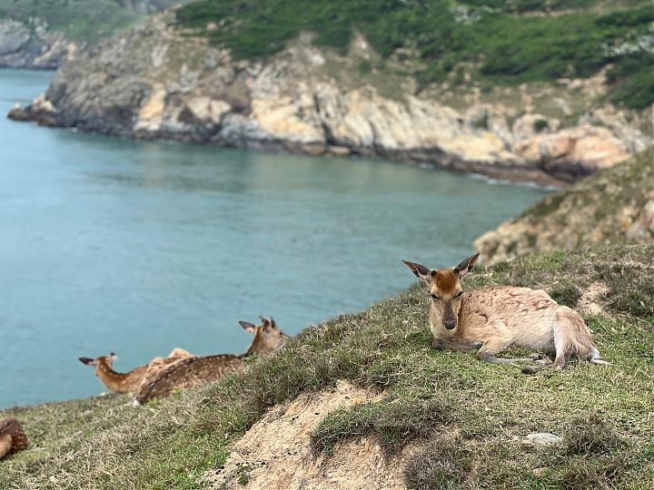 6-person exclusive group tour: Matsu Blue Tears and Daqiu Deer Hunting 3-day tour