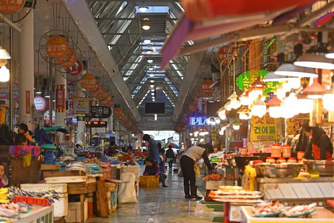 2024 Seoraksan Fall Foliage Viewing & Sokcho Market Food Day Tour | Chinese/English Guide