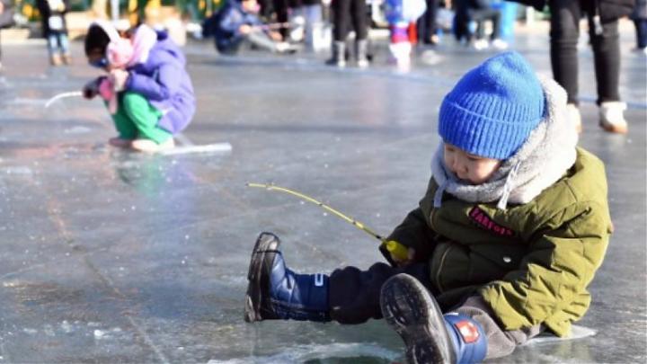 Winter Love Seoul: 5-Day Hwacheon Mountain Trout Festival, Skiing, and Winery Tour (Groups 15-19)
