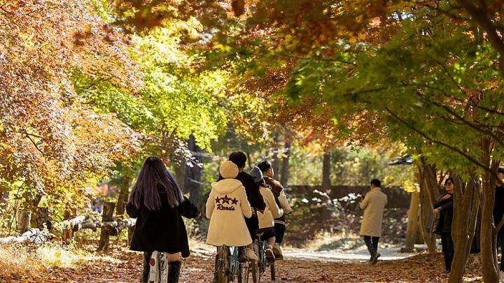 Winter Love Seoul: 5-Day Hwacheon Mountain Trout Festival, Skiing, and Winery Tour (Groups 15-19)