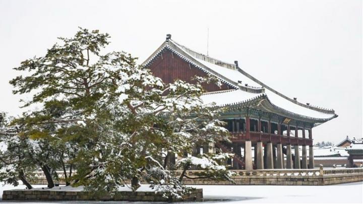 Winter Love Seoul: 5-Day Hwacheon Mountain Trout Festival, Skiing, and Winery Tour (Groups 15-19)