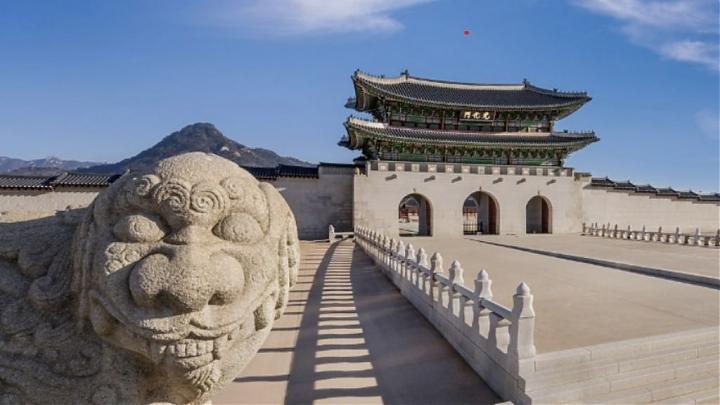 Winter Love Seoul: 5-Day Hwacheon Mountain Trout Festival, Skiing, and Winery Tour (Groups 15-19)