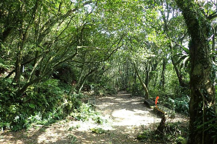 Tamlane Historic Trail North Route Hike | Canguangliao Historic Trail + Diaoshan Historic Trail O-Shaped Vertical Hike