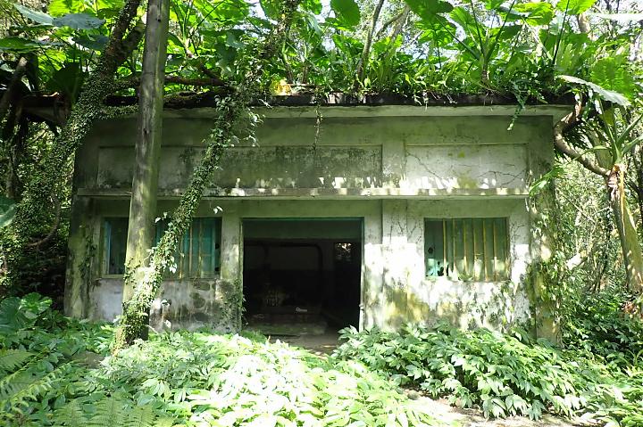 Tamlane Historic Trail North Route Hike | Canguangliao Historic Trail + Diaoshan Historic Trail O-Shaped Vertical Hike