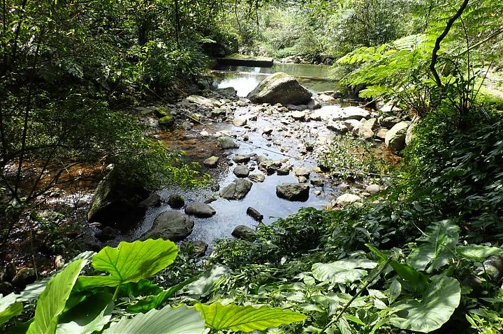 Tamlane Historic Trail North Route Hike | Canguangliao Historic Trail + Diaoshan Historic Trail O-Shaped Vertical Hike