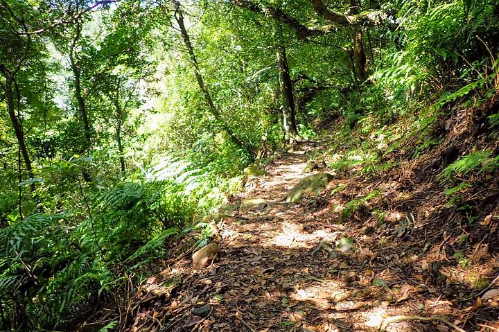 Tamlane Historic Trail North Route Hike | Canguangliao Historic Trail + Diaoshan Historic Trail O-Shaped Vertical Hike