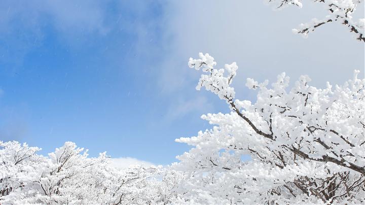 Departing from Nagoya | Day Trip to Mt. Gozaisho Snow Play & Aquaignis Kataoka Natural Hot Springs