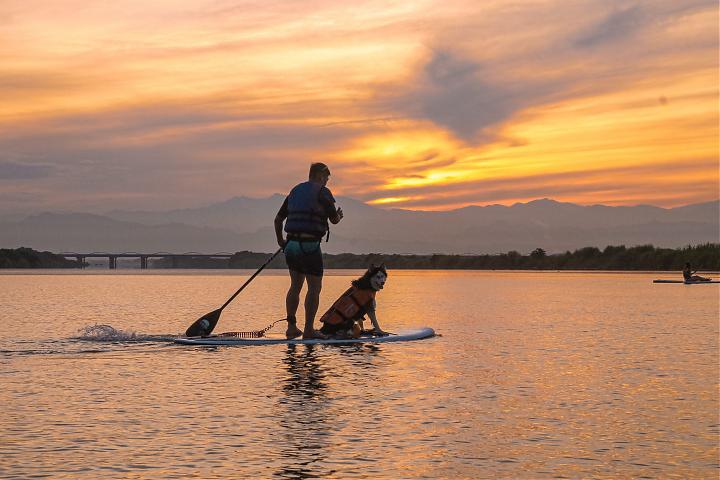 Tainan's Zengwen River SUP Experience | The Most Beautiful Sunset Silhouette. Paddling Year-Round