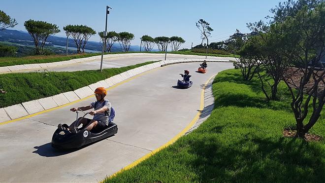 A one-day tour of Ganghwa Island, Incheon, near Seoul, including a luge ride, pink muhly grass, and seagull feeding.