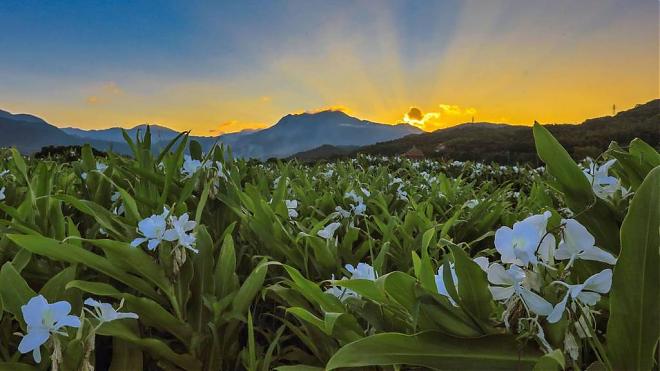 Crown Coast Sightseeing Package | Jinshan Hot Springs Premium Health and Dining (Two People)