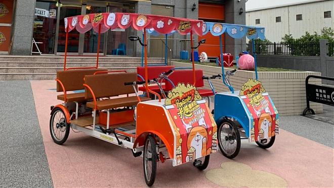 Crown Coast Sightseeing Package | Balikazi Pomelo Family Tour