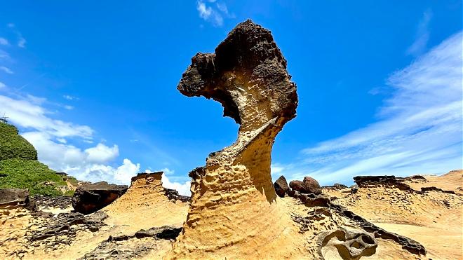 Crown Coast Sightseeing Package｜Crown Queen Injoy Travel
