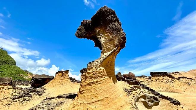 Crown Coast Sightseeing Package | Jinshan and Yehliu Countryside Family Fun (Adults, One Child)
