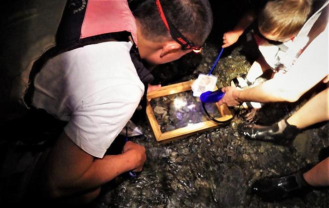 台東の夜の川エビ漁体験 | 渓流の生態探訪 + エビ料理