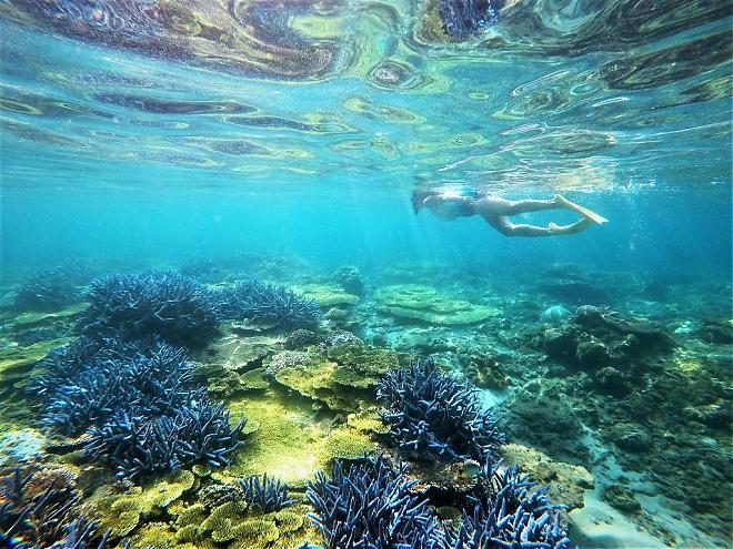 澎湖南部望有島日帰り旅行｜サンゴ礁の楽園へダイブ