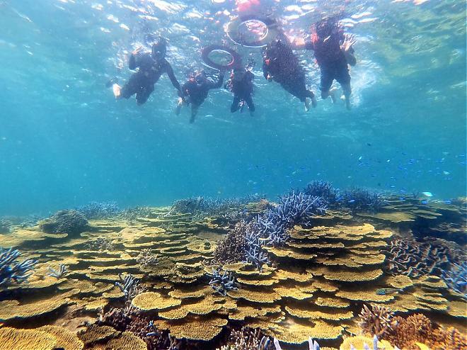 澎湖南部望有島日帰り旅行｜サンゴ礁の楽園へダイブ
