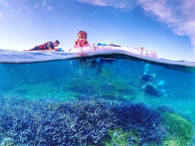 澎湖南部望有島日帰り旅行｜サンゴ礁の楽園へダイブ