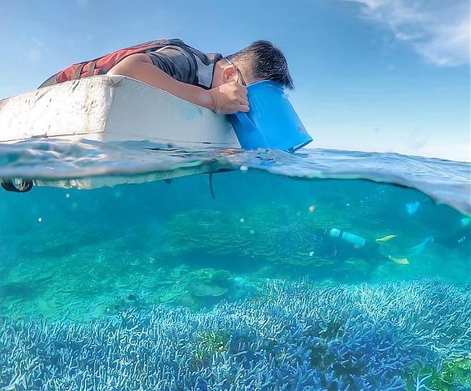澎湖南部望有島日帰り旅行｜サンゴ礁の楽園へダイブ