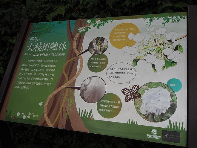 宜蘭 麒麟馬澳生態霊木園 日帰り旅行 | アジア最大の霊木園