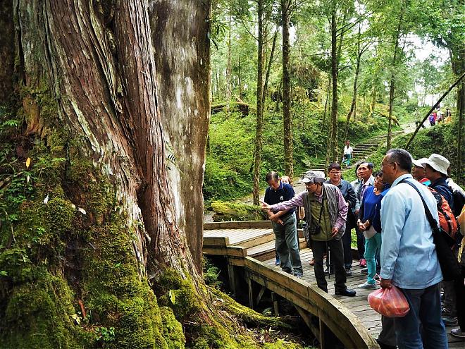 宜蘭 麒麟馬澳生態霊木園 日帰り旅行 | アジア最大の霊木園
