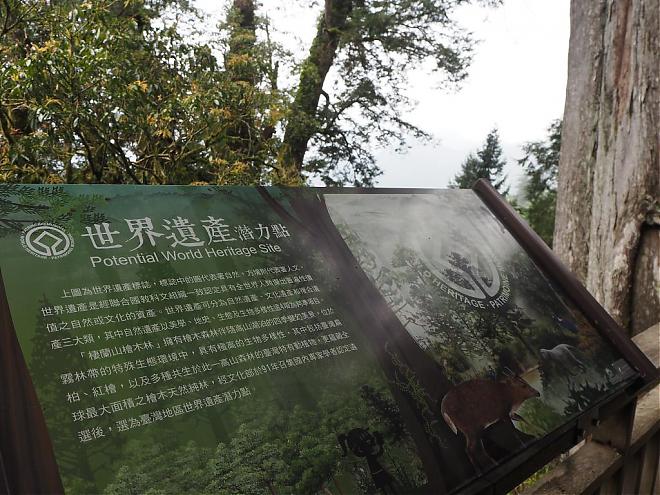 宜蘭 麒麟馬澳生態霊木園 日帰り旅行 | アジア最大の霊木園