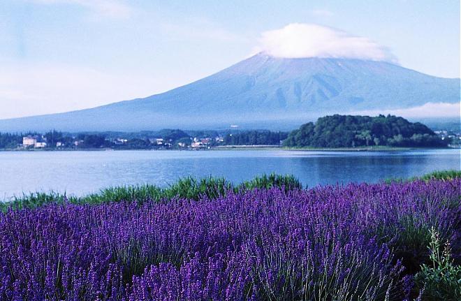 JR富士山・静岡エリア周遊パスミニ（3日間パス）