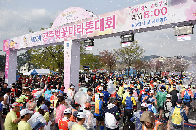 釜山発｜2025年 第32回慶州桜マラソン参加