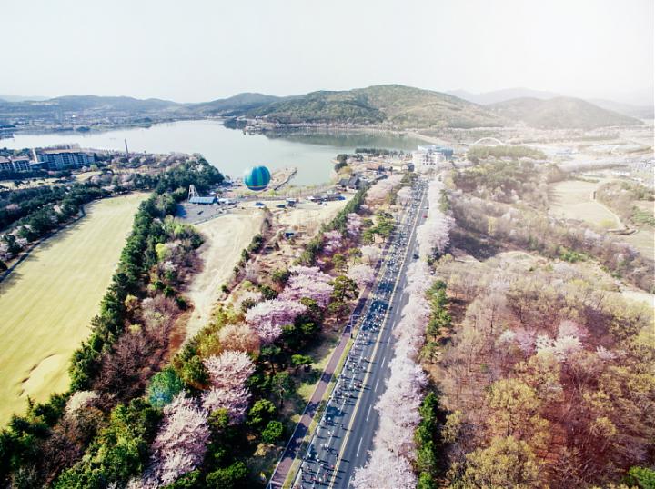 釜山発｜2025年 第32回慶州桜マラソン参加