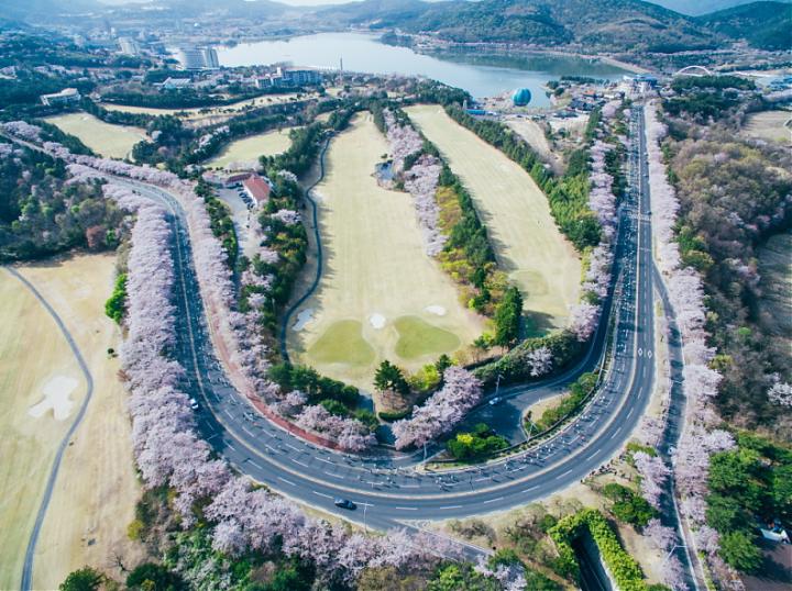 釜山発｜2025年 第32回慶州桜マラソン参加