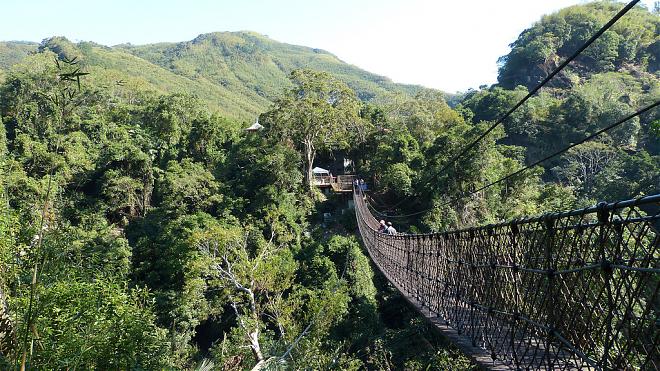 【季節限定】桃園小烏来スカイウォークと桃の試食ツアー
