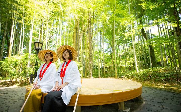 新宿発｜2025年 静岡・伊豆河津桜といちご狩り日帰りツアー（食事付き｜中国語サービス付き）