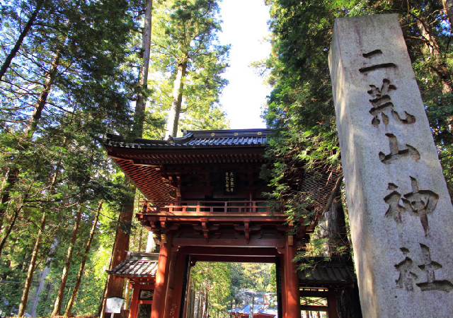 新宿発｜日光東照宮、華厳の滝、中禅寺湖を巡る日帰りツアー（中国語対応）