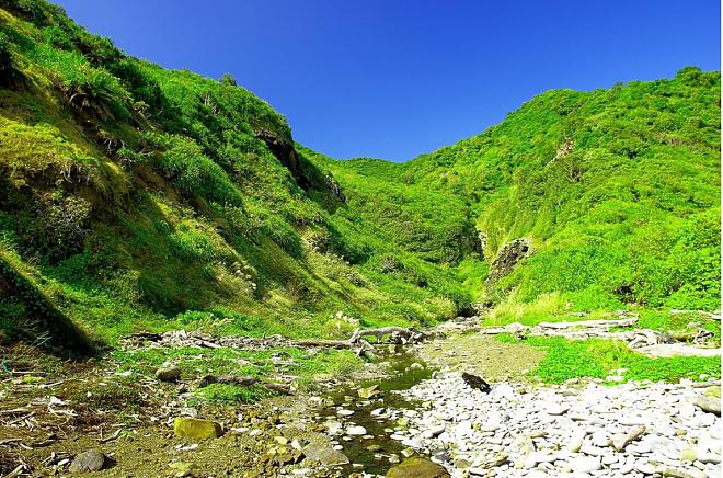 屏東徐海阿朗堡歴史歩道日帰り旅行 | 台湾で最も美しい自然のままの海岸歩道を体験