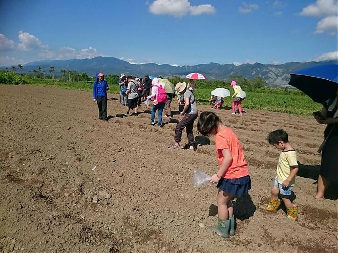 台東鹿野田耳農業体験 | 四季折々のフルーツ狩りと田舎の宝探し