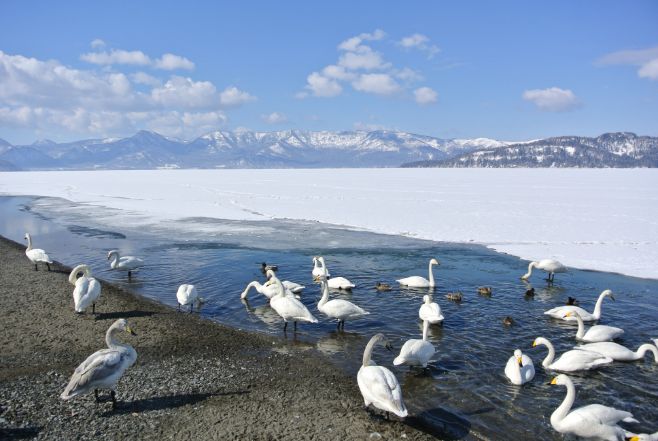 北海道東交通バス1番｜層雲峡→紋別・サロマ湖・網走・知床