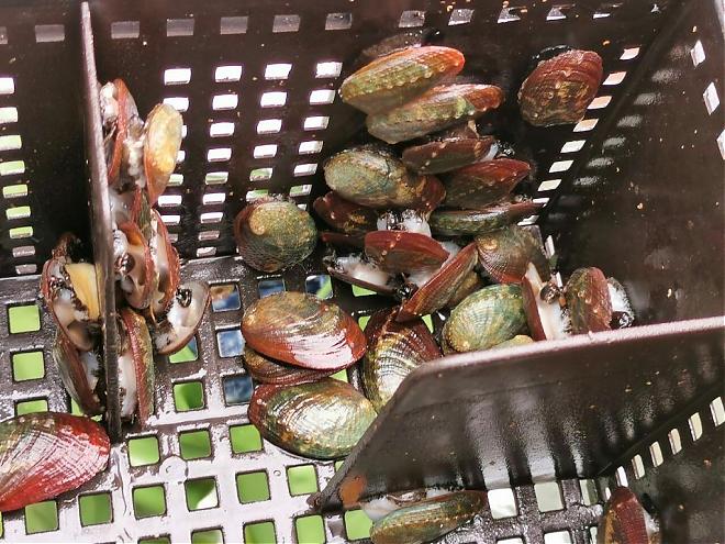 宜蘭の漁師生活初見｜九公の衣食住と交通