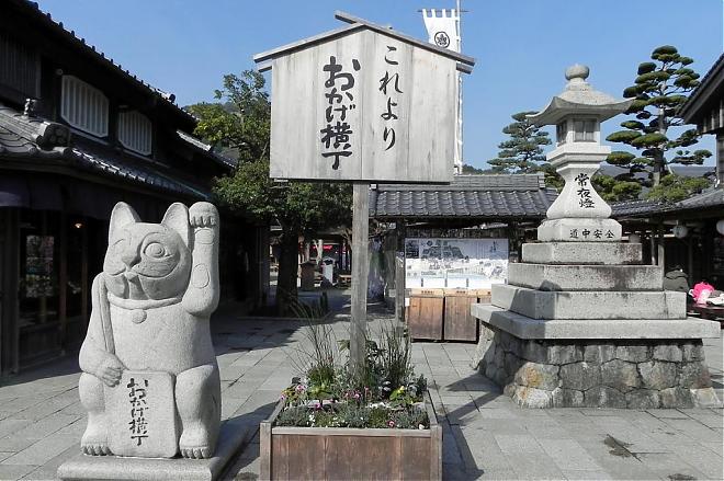 名古屋発、なばなの里イルミネーションと御在所樹氷を楽しむ日帰り旅行