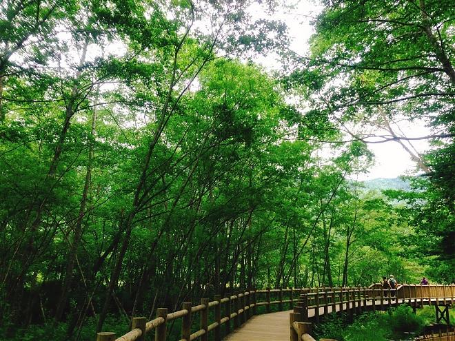 長野県上高地の絶景を巡る日帰り旅行（新宿発）