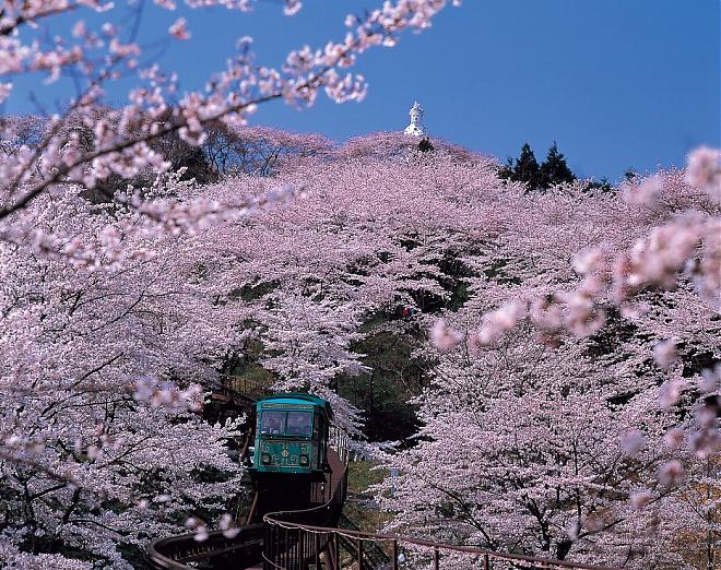 東北・仙台で2日間のお花見ツアー（温泉旅館に宿泊）