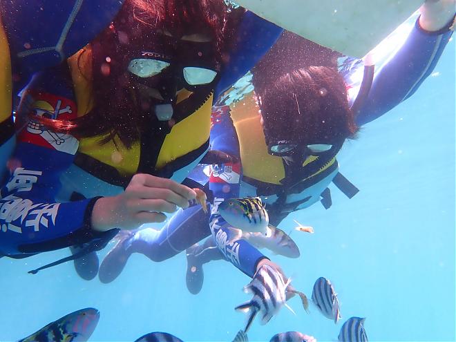 澎湖海中散歩、シュノーケリング、SUP、海賊船クルーズ | 山水ビーチ水上遊覧基地