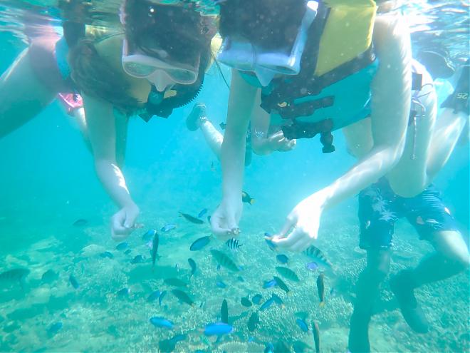澎湖海中散歩、シュノーケリング、SUP、海賊船クルーズ | 山水ビーチ水上遊覧基地