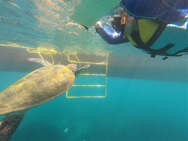 澎湖海中散歩、シュノーケリング、SUP、海賊船クルーズ | 山水ビーチ水上遊覧基地